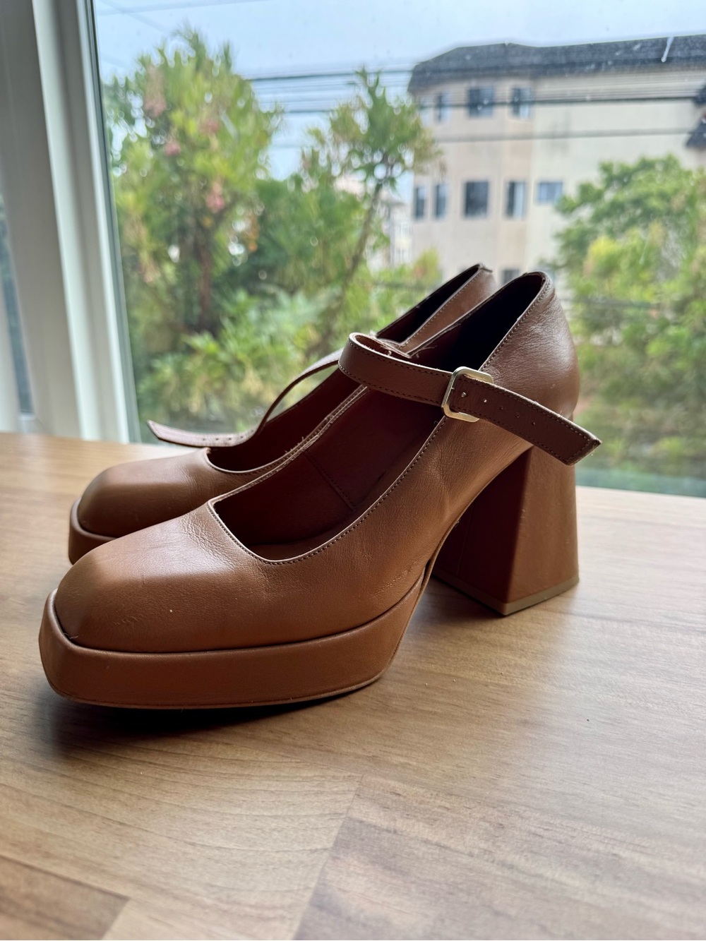 Chunky Mary Jane Platform Heels in Brown
